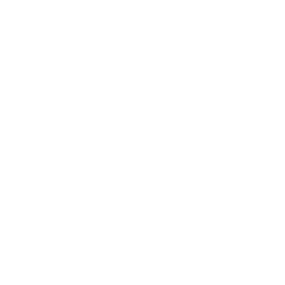SAFFI15_logo_bianco